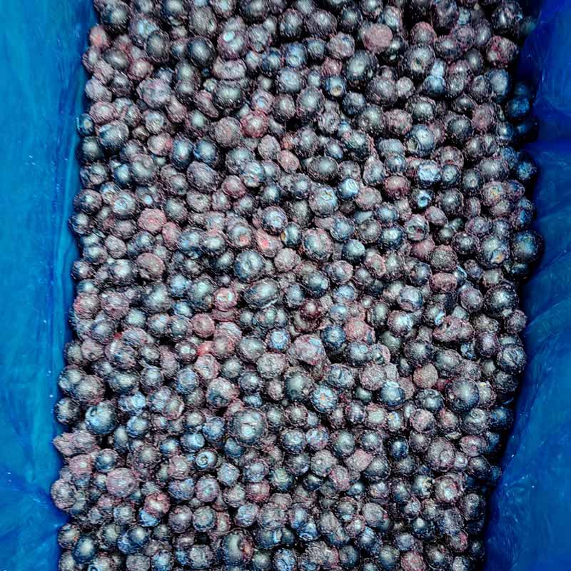 توت أزرق مجمد بتقنية التجميد السريع الفردي - Yung Yong