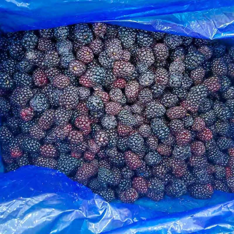 توت العليق المجمد بتقنية التجميد السريع الفردي - Yung Yong